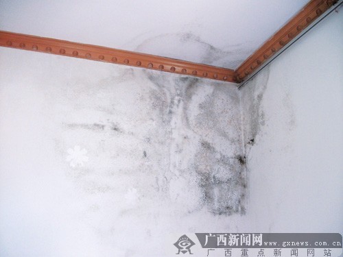 墙壁渗水一年多殃及两邻居 楼上人拒绝检修(图