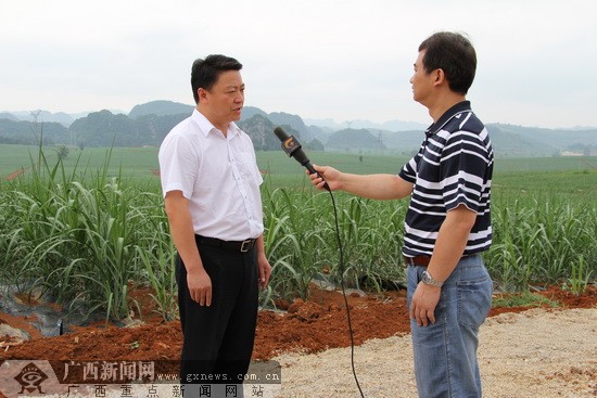 江州区委书记邱明宏向记者介绍项目开展情况.