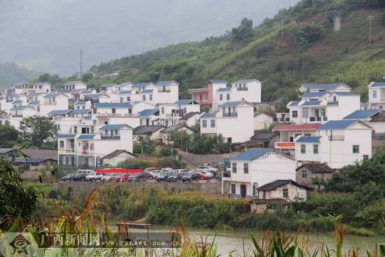 百色市西林县新丰村:驮娘江畔垂钓乐园|手机广西网