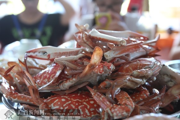 网记聚焦生态防城港"抢鲜"蒸煮焖炒海鲜美味