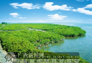 生态立区绿色崛起 广西建设生态文明和谐发展