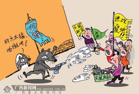 家有鼠患如何与鼠争斗?专业捕鼠人士传授灭鼠方法