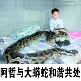 广西手机报1月28日下午版