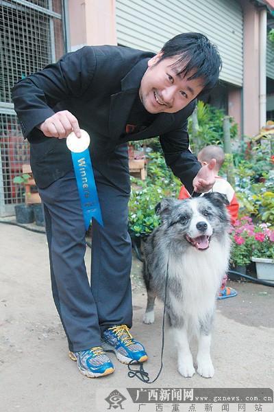 名犬后代南宁逐高下 北京犬和金毛犬分获总冠