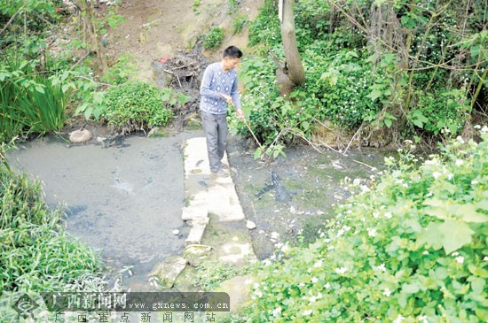 南宁:清溪被养猪场直排粪水污染 致百亩良田绝收