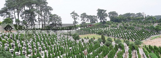 南宁市佛子岭公墓里有部分墓地已经到期,按规定需要续交管理费.