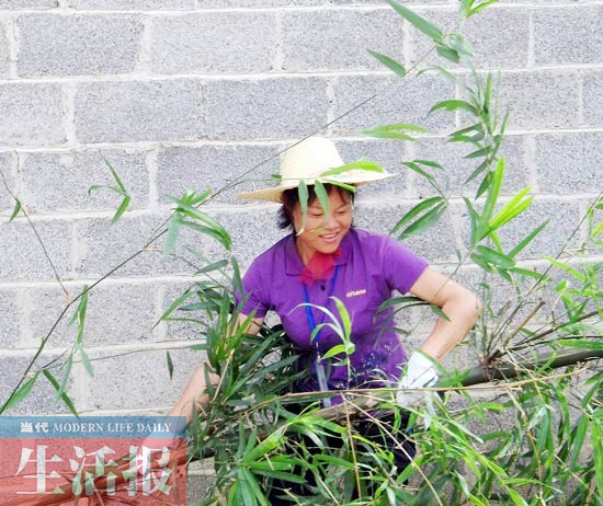 美丽姐\u201d带村民修路致富改变落后村屯面貌(图