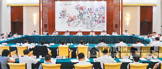 全国政协重点提案督办调研座谈会在南宁召开