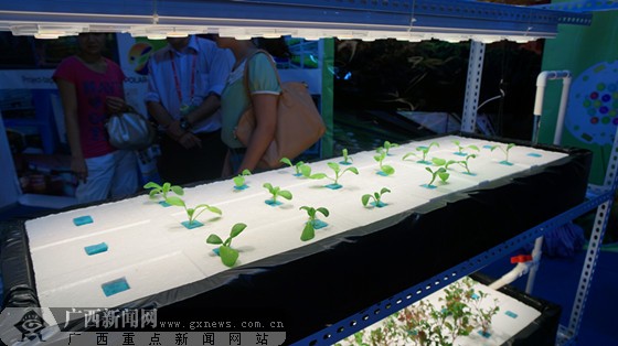 农业技术的创新:“照”出来的健康植物