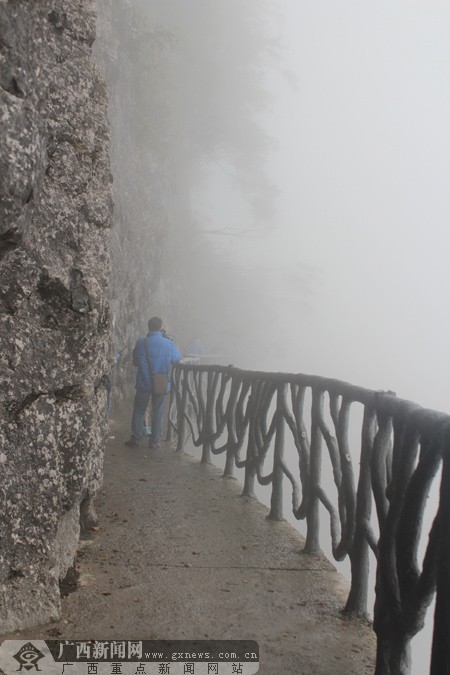 [网媒重庆行]聚焦重庆新晋5A级景区南川金佛山