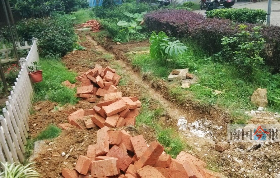 柳州一小区两业主联合圈地 扩私人花园(图)
