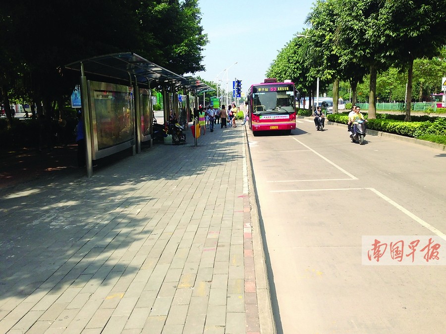 南宁部分景区停车位紧张 市民不文明停车导致