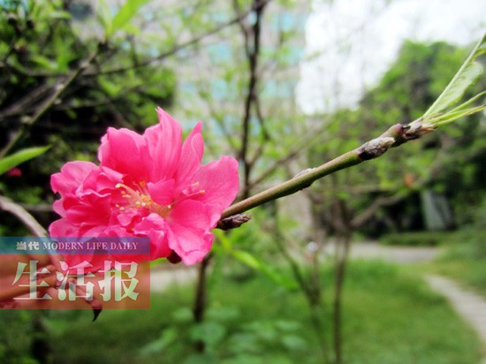 һ洩Խר:쳣