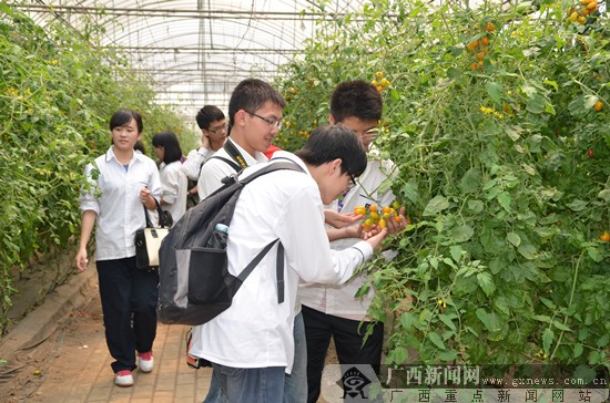 南宁八中:传承德育精神 系统共筑教育梦