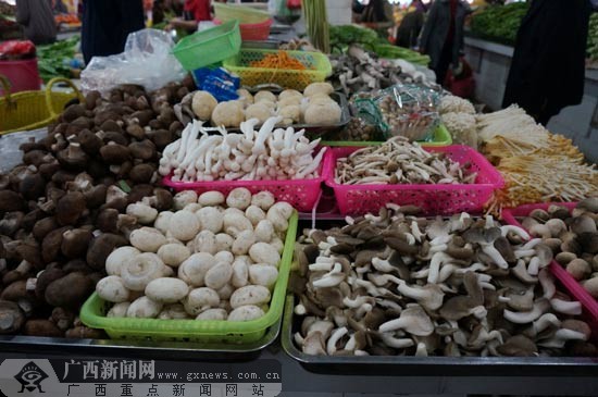 市场上的蘑菇种类多,价钱也从每斤几块钱到几十块钱不等.