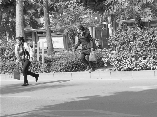 市政设施频受损 管理爱护不可少