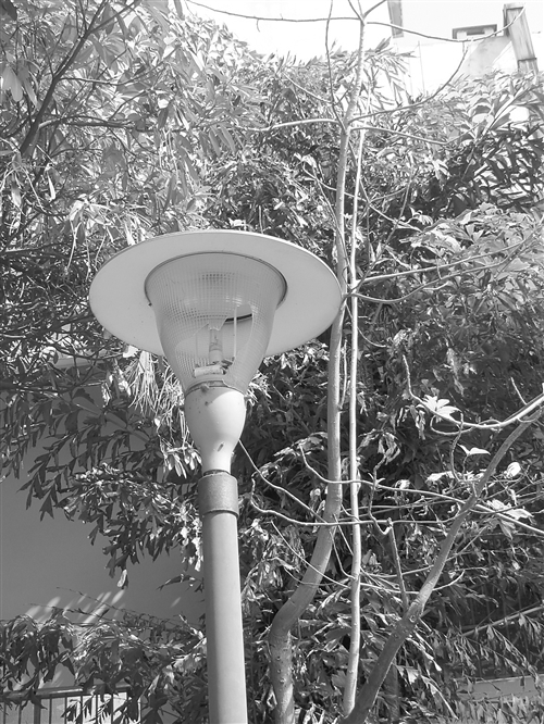 市政设施频受损 管理爱护不可少