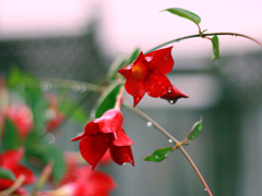 ��η�ֹʪ�����ַ��估��ʪ