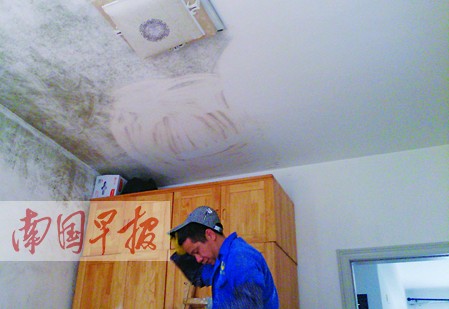 潮湿天气致家里霉斑全面爆发 烦心的发霉如何除根