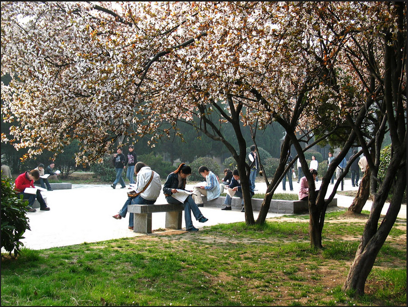 安徽农业大学校园风景