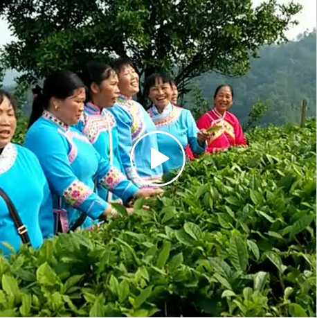 []нʴ:ɲ谢㳪ɶ(o)ȴȽ