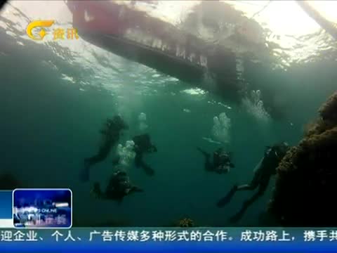 视频精选 视频精选