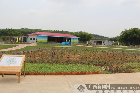 五一 去南宁绿坤山免费抓兔子 休闲活动丰富有