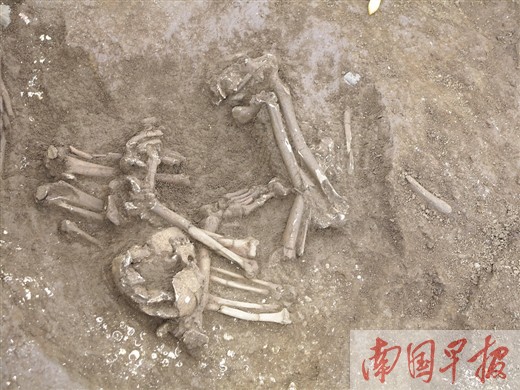 图片版权归原作者所有