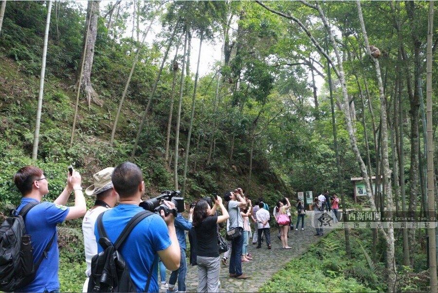 煤渣场变保护区 永春牛姆林为百姓留下生态福利
