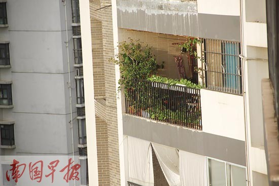 西晒房子夏天酷热难耐 防晒招数五花八门(组图)-广西新闻网