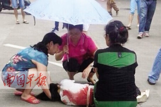 <em>弟弟</em>校园内将<em>亲姐</em>捅伤致死 姐姐刚研究生毕业