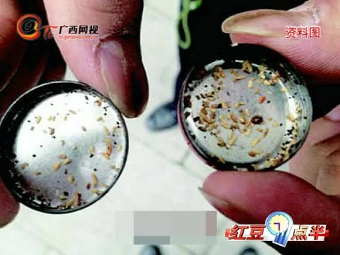 女子和狗过于亲密被感染寄生虫