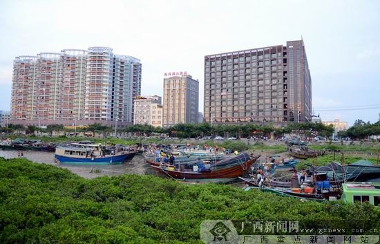 40多年最强台风来袭 钦州各部门部署防台工作