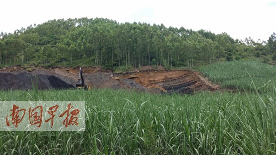 违法者打复垦旗号却干盗采煤矿勾当 执法部门支吾