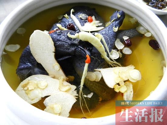 秋食药膳健胃养生 探访南宁市特色药膳菜品(组图)