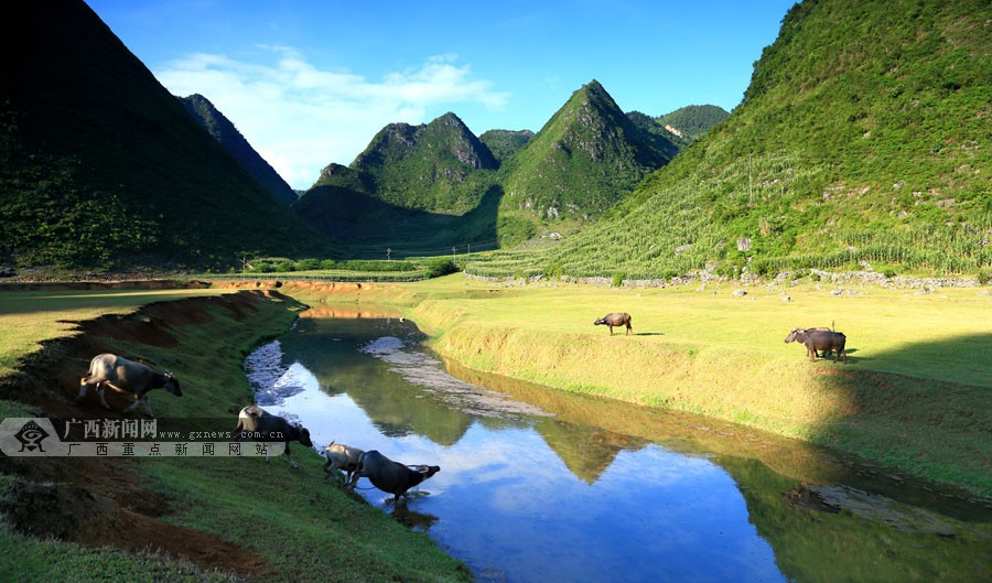 高清:广西乐业火卖生态村美景(10/14)