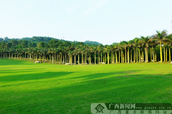 9月8日晚中秋之夜,青秀山风景区将携手广西中华文化促进会在环山秀坪