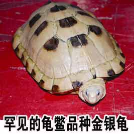 广西手机报9月16日上午版