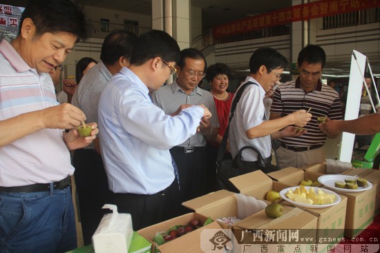 中国品牌农产品联盟南宁站成立 打造特色农商