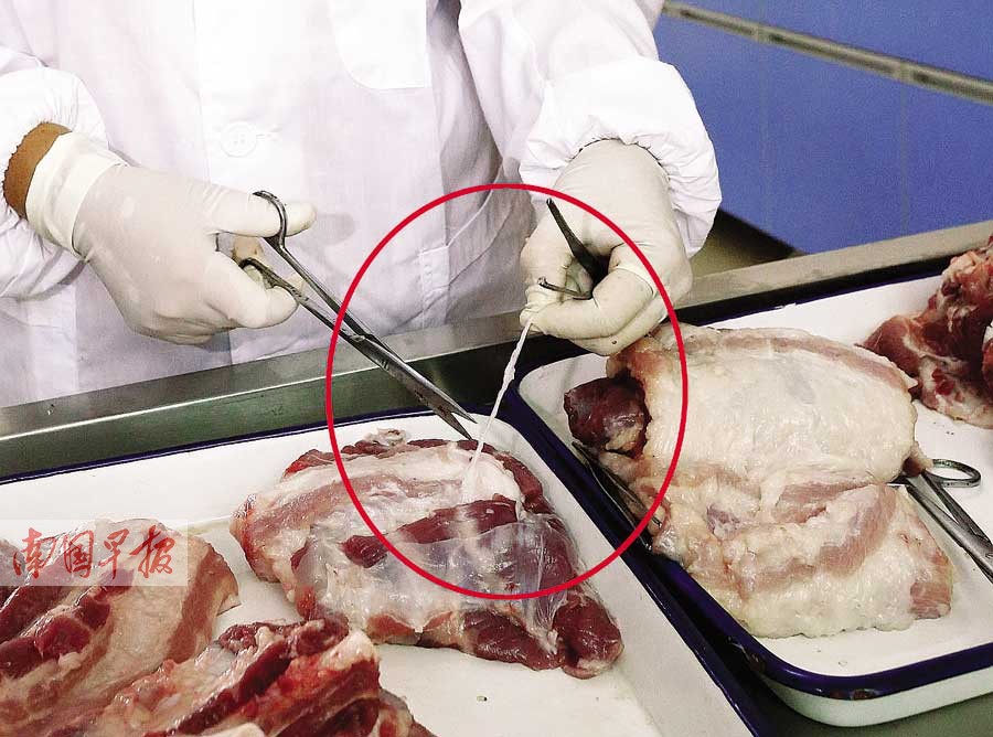 生肉有虫?谣言太扯!猪肉中"捉"出的"白虫"系集团绿有限公司血管中食品图片
