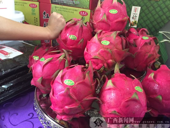 受益创新驱动 广西火龙果企业飞速发展(组图)