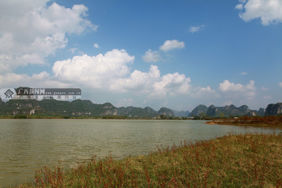 "魅力上林"基层行七 赏东红,毛塘湿地壮美风光(3/18)