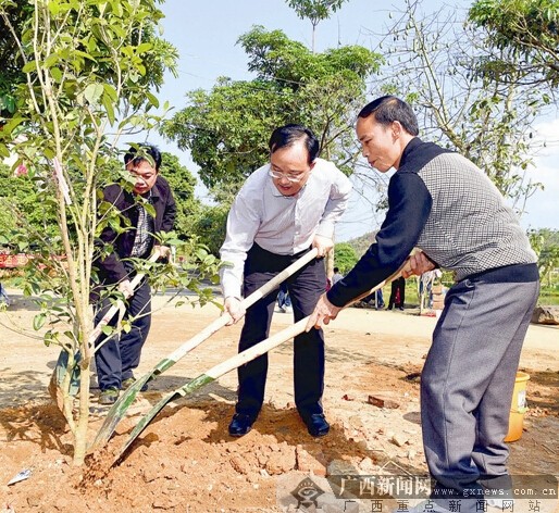 梧州春节期间开展美丽广西乡村建设活动纪实