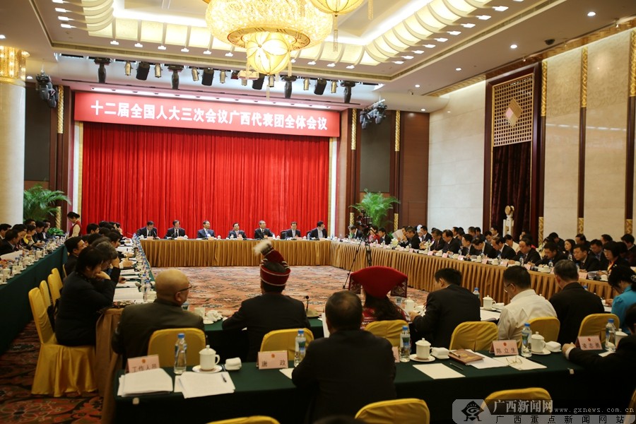 高清:广西代表团举行全体会议(1/7)