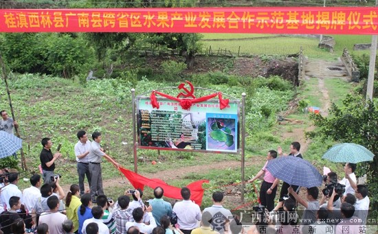 桂滇西林广南成立跨省区联合党总支部