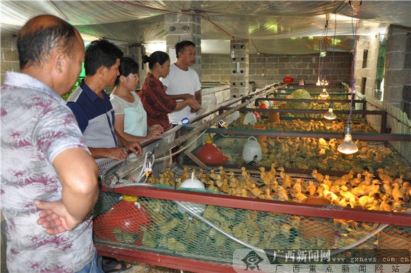 农行柳城支行做实三农贷前调查工作