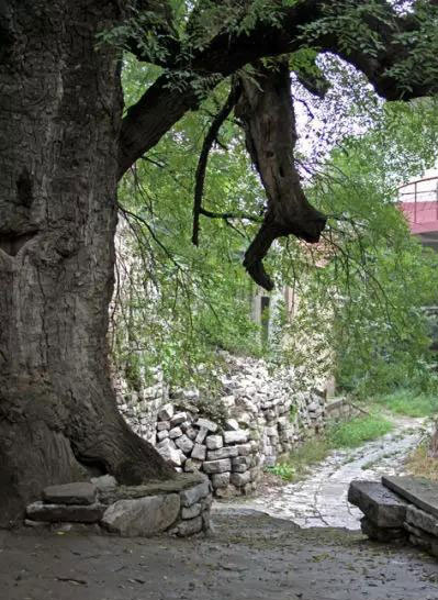 济南最美的10个古村落 你去过几个?