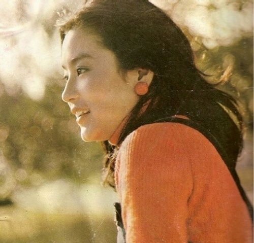 林青霞王祖贤张曼玉 回顾那些惊为天人的港台明星