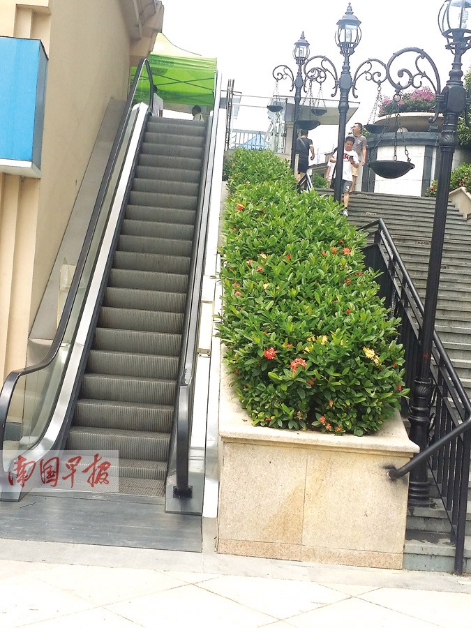 小区自动扶梯大多成摆设 每次维保动辄上万元