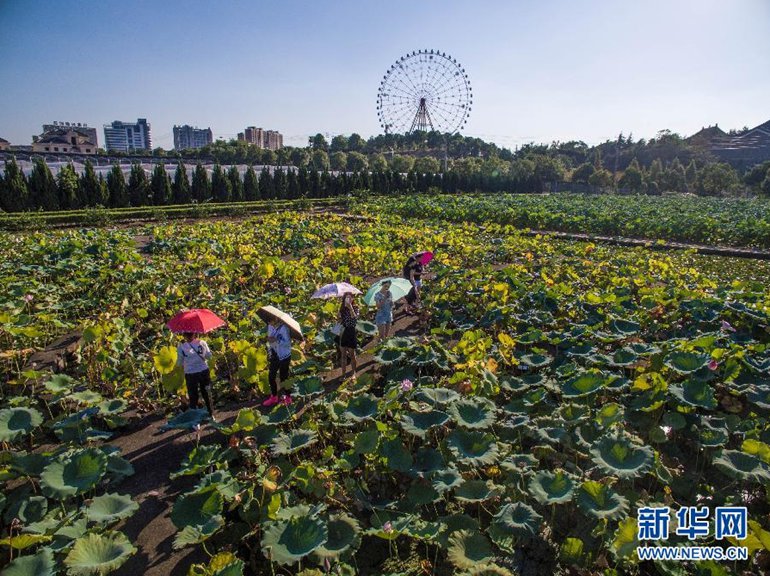 高清:浙江东阳花园村 无限风光在"园"中